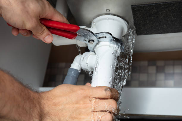 Best Water damage cleanup near me  in Maitland, FL