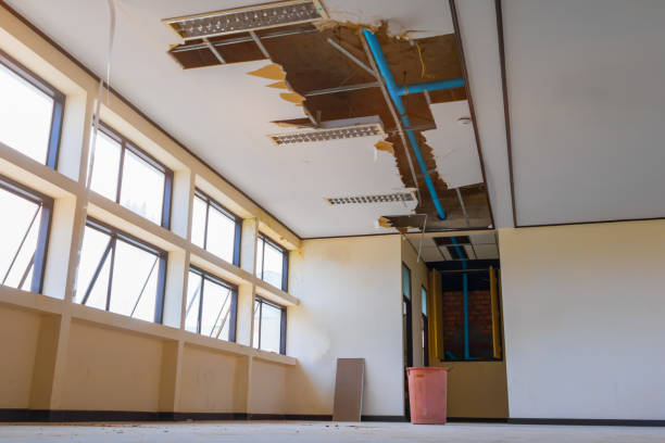 Best Water damage restoration specialists  in Maitland, FL