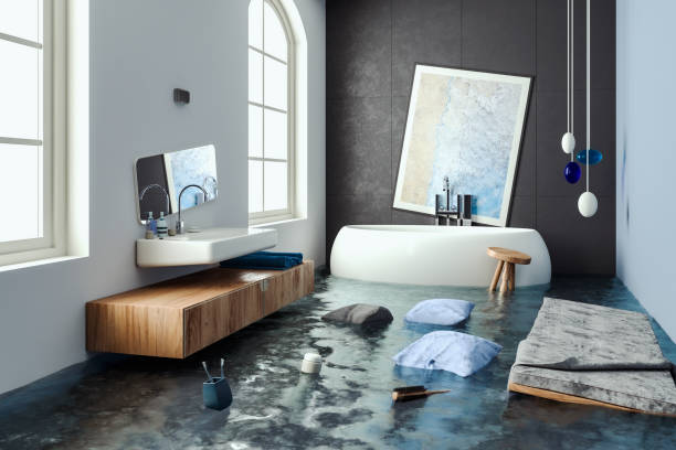 Best Ceiling water damage repair  in Maitland, FL