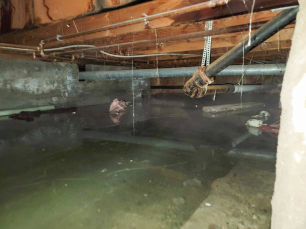 Best 24/7 water damage repair  in Maitland, FL