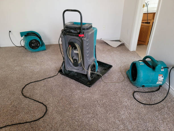 Best Water damage restoration services  in Maitland, FL