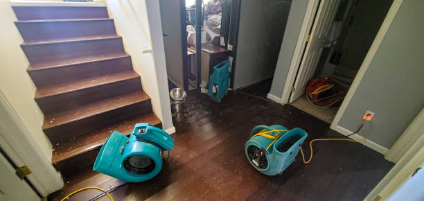 Best Ceiling water damage repair  in Maitland, FL
