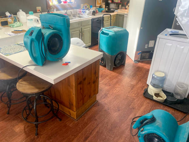 Best Residential water damage restoration  in Maitland, FL