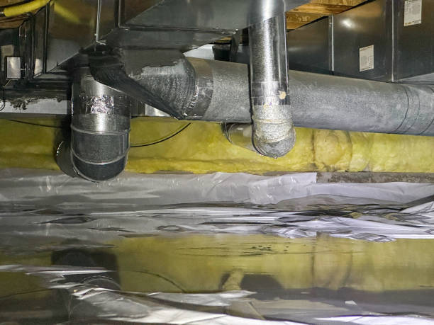 Best Flood damage cleanup  in Maitland, FL
