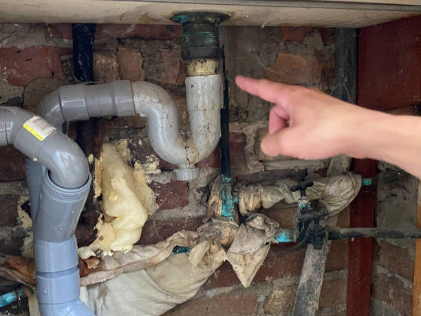 Carpet water damage restoration in Maitland, FL